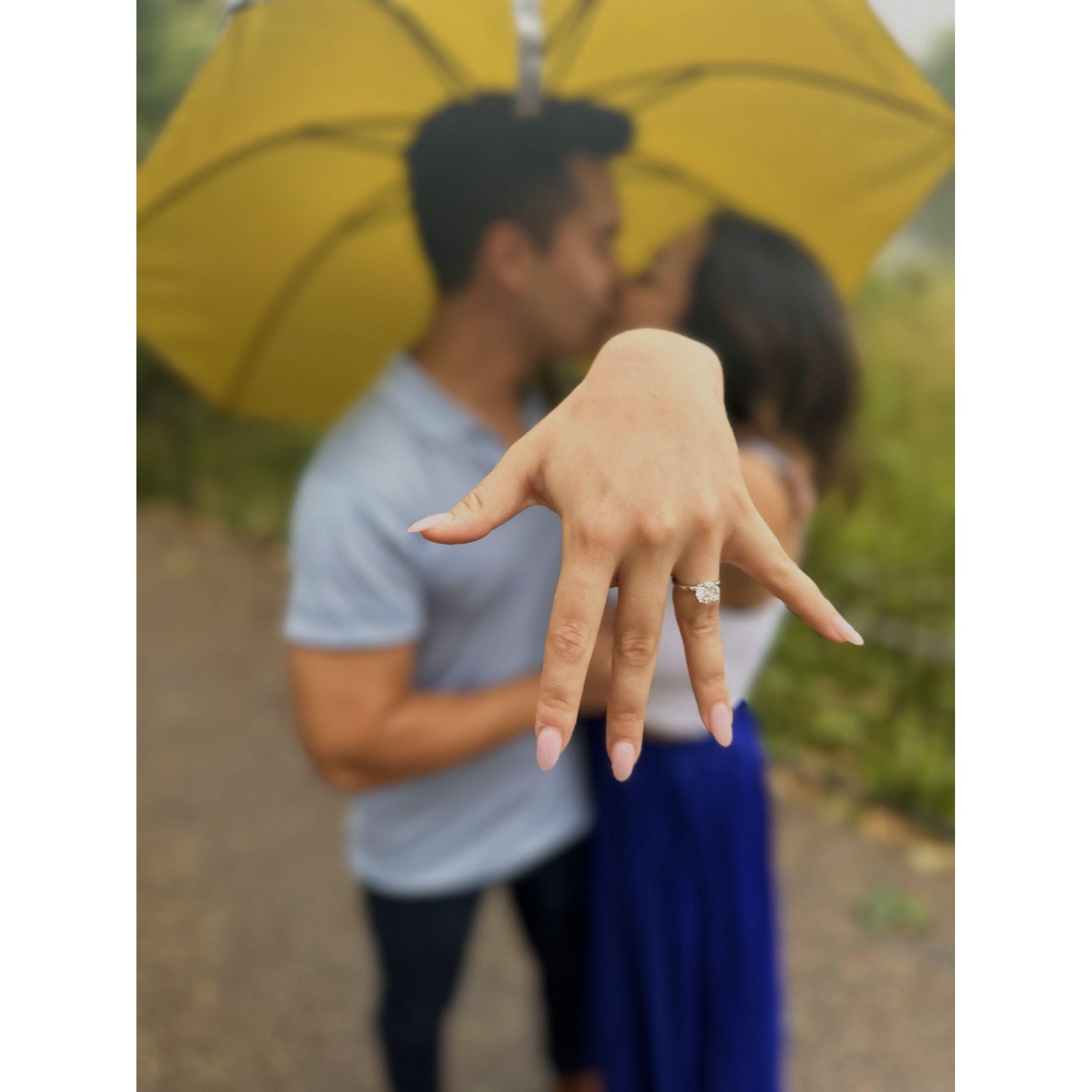 he proposed in St. James Park, London under a willow tree in the rain. immediately after, my friends popped out from behind a tree when they were supposed to be in Italy!