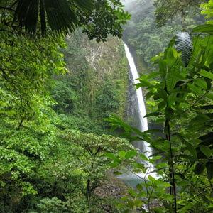 La Fortuna Waterfall Tour