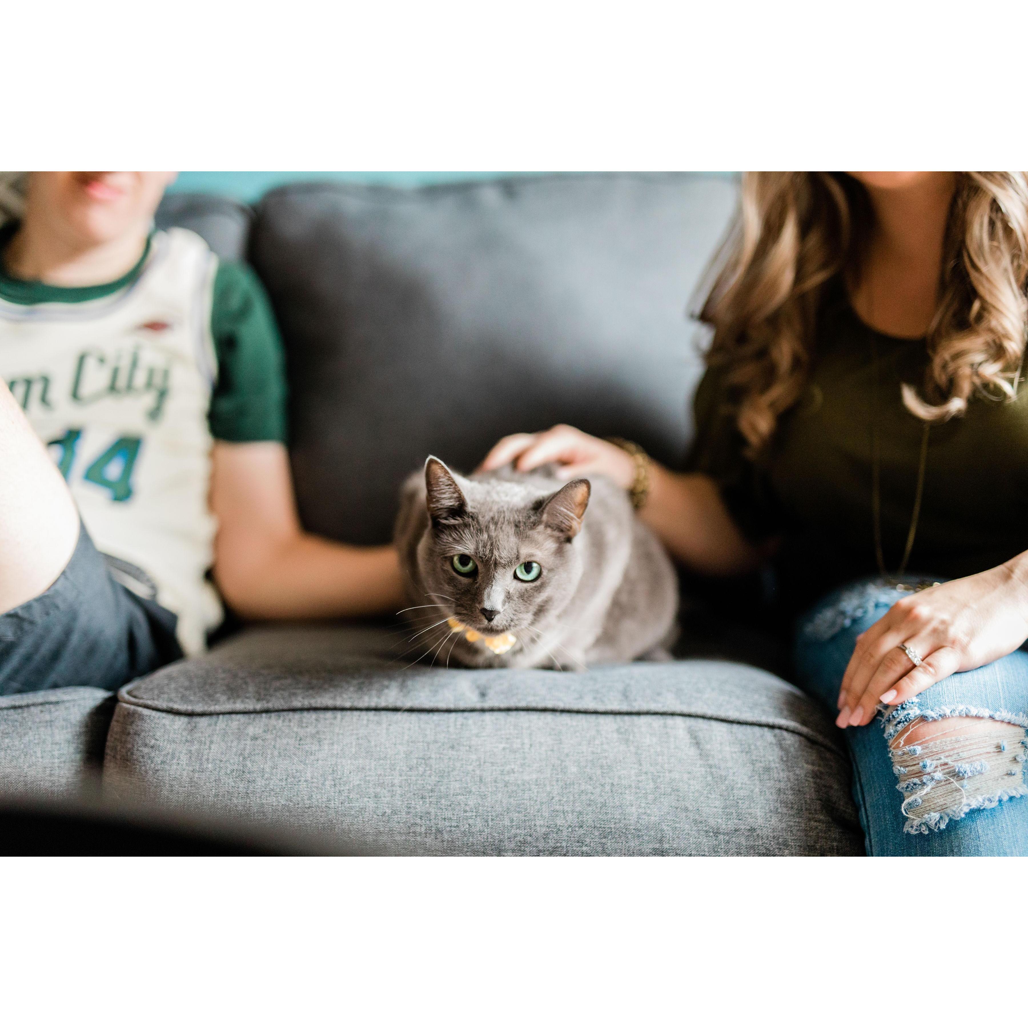 Engagement photos with our cat, Cinders