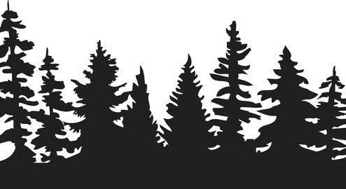 Footer image