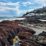 Reid State Park