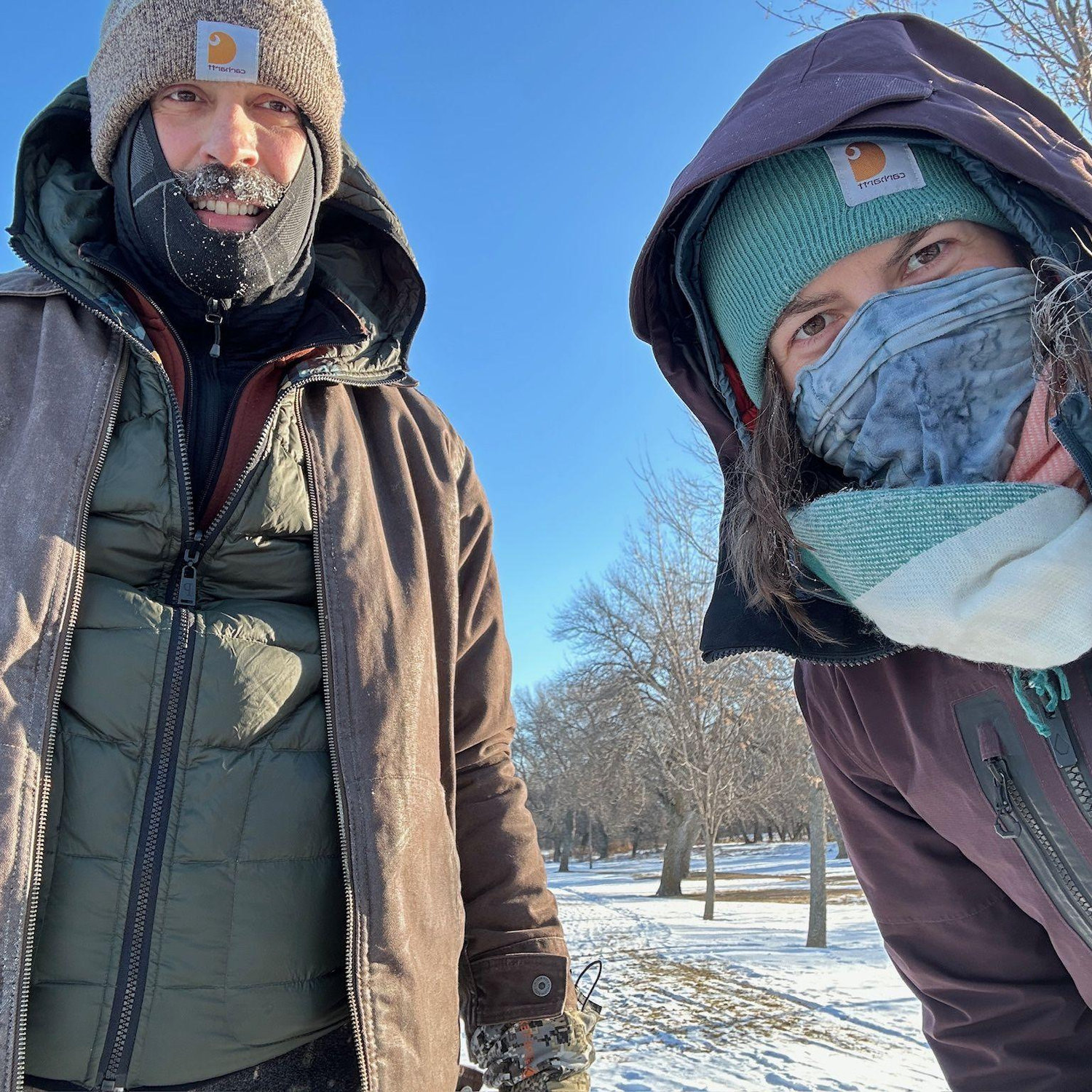 Documentation of frozen hairs (ND)