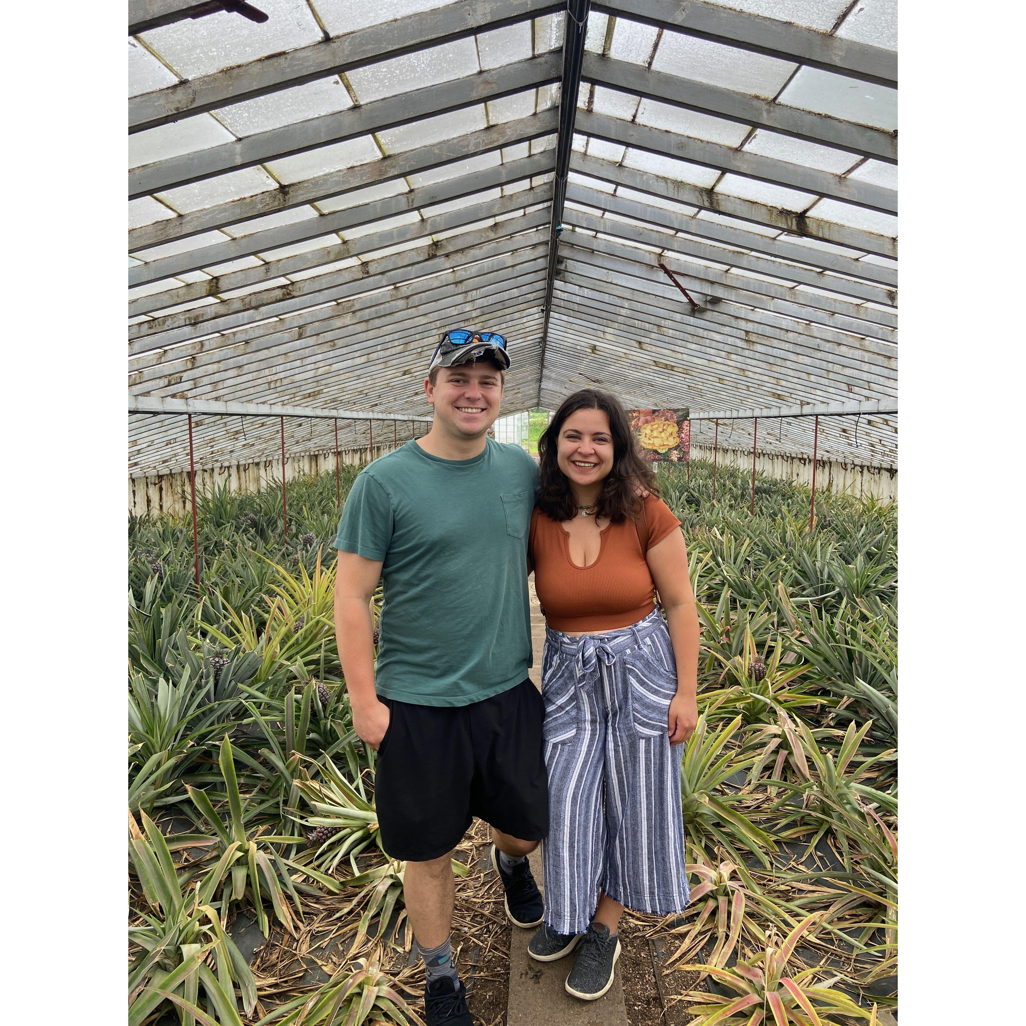 Loved our time in the Azores - a Portugese island that houses the only indoor pineapple plantation!