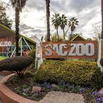 Sacramento Zoo