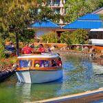 Tram & Canal Boats