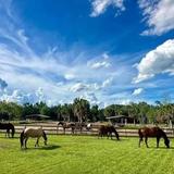 Hidden Palms Ranch