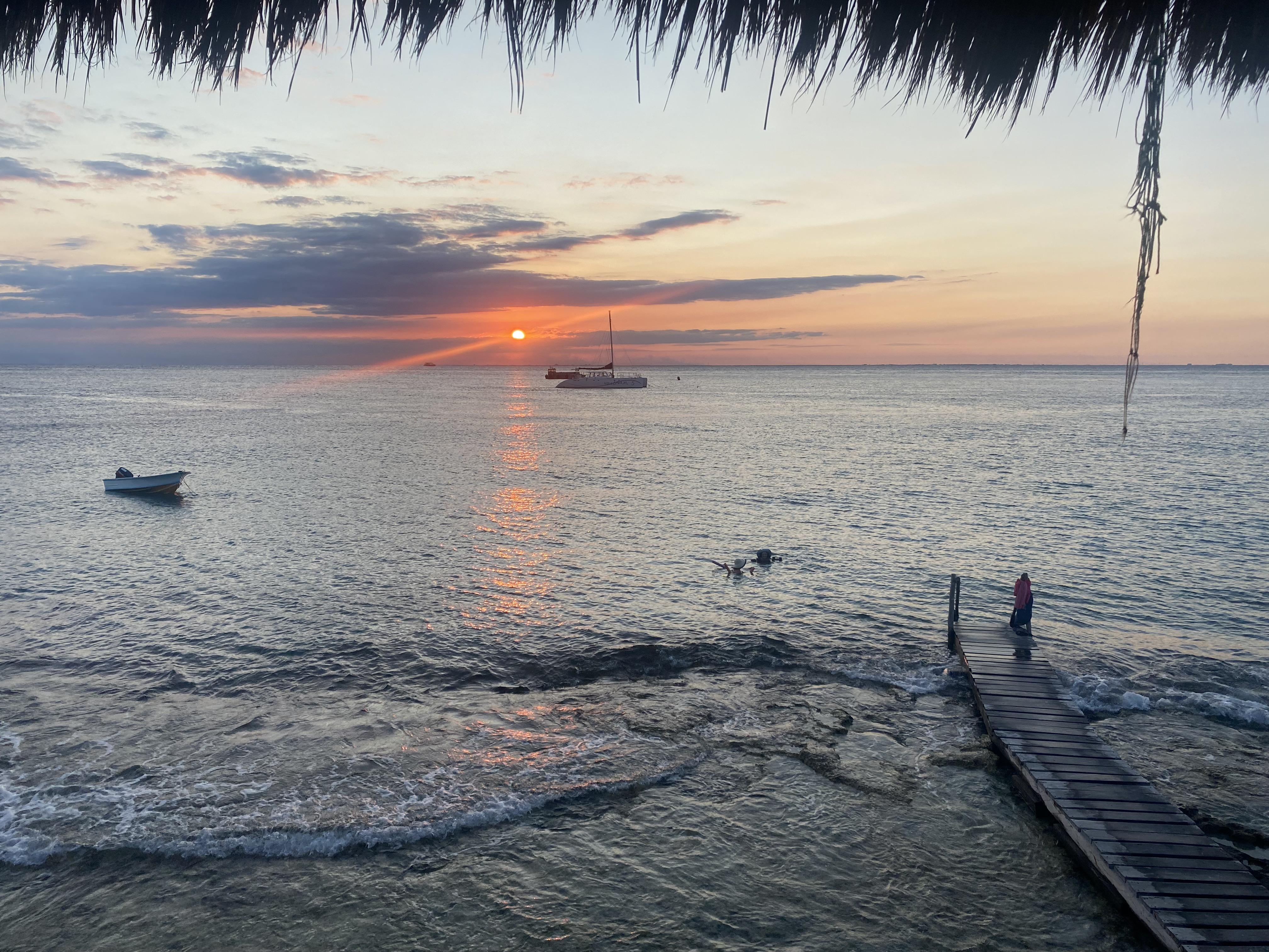 The Wedding Website of Erika Shimada and Brian McKie