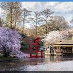 Botanica Garden Center