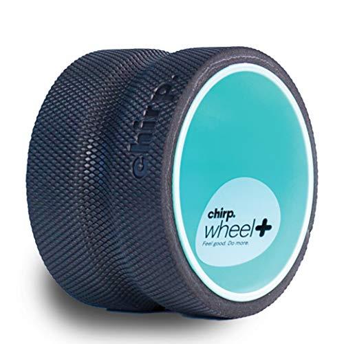 Plexus Chirp Wheel for Back Pain, Stretches and Strengthens Core Muscles, Relieves Strain to Muscles and Ligaments, Helps Prevent Herniated/Bulging Discs, Arthritis, and Osteoporosis