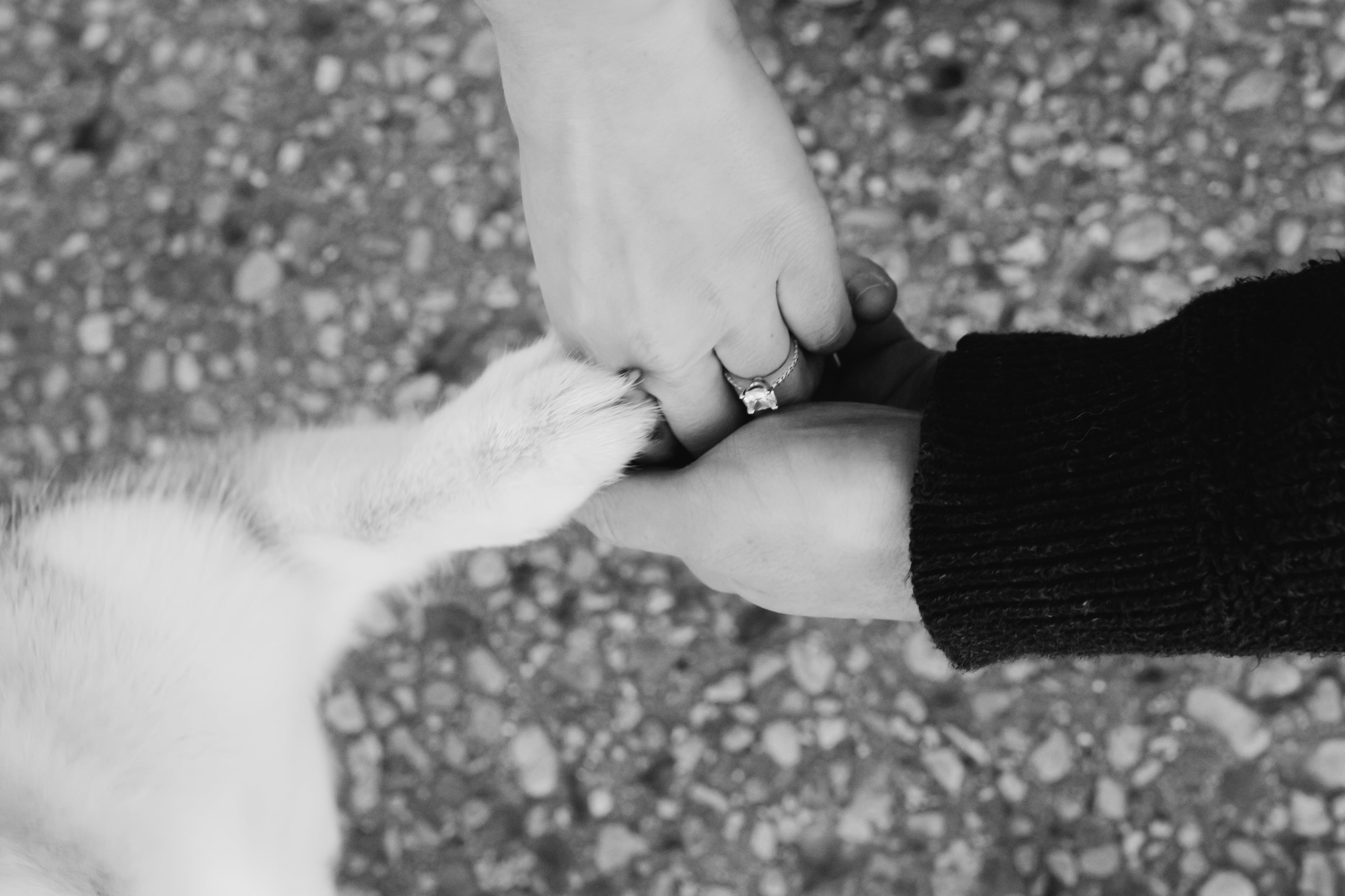 The Wedding Website of Kelly Weber and Joseph Murphy