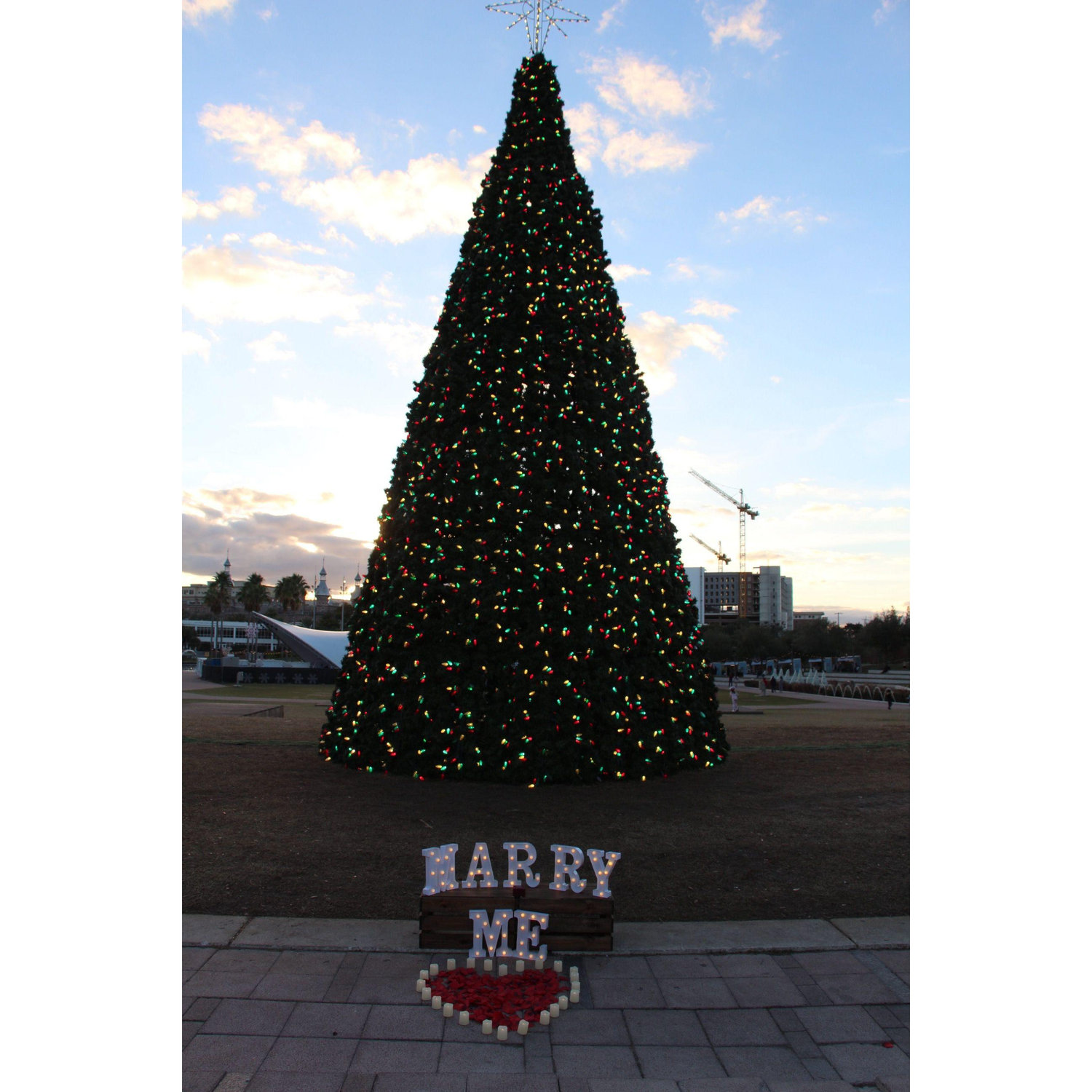 The engagement took place on 12/31/23 at 6pm at Curtis Hixon Park in Downtown Tampa