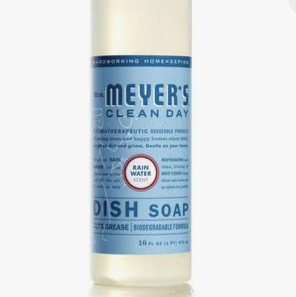 Rain Water Dish Soap & Refill Set