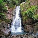 El Yunque National Rainforest
