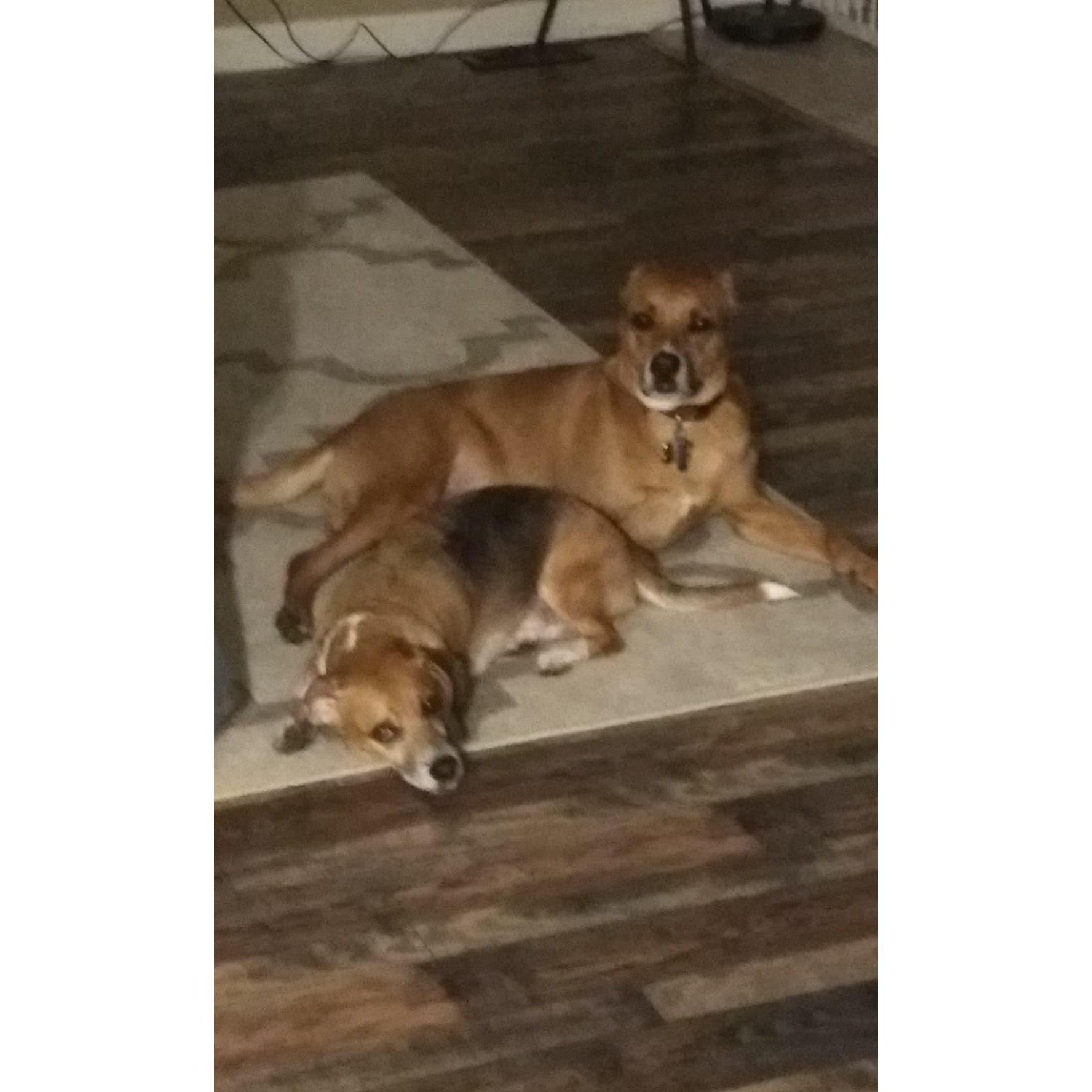 Two boys - Roger (Lil Boy) and Archer (Big Boy).