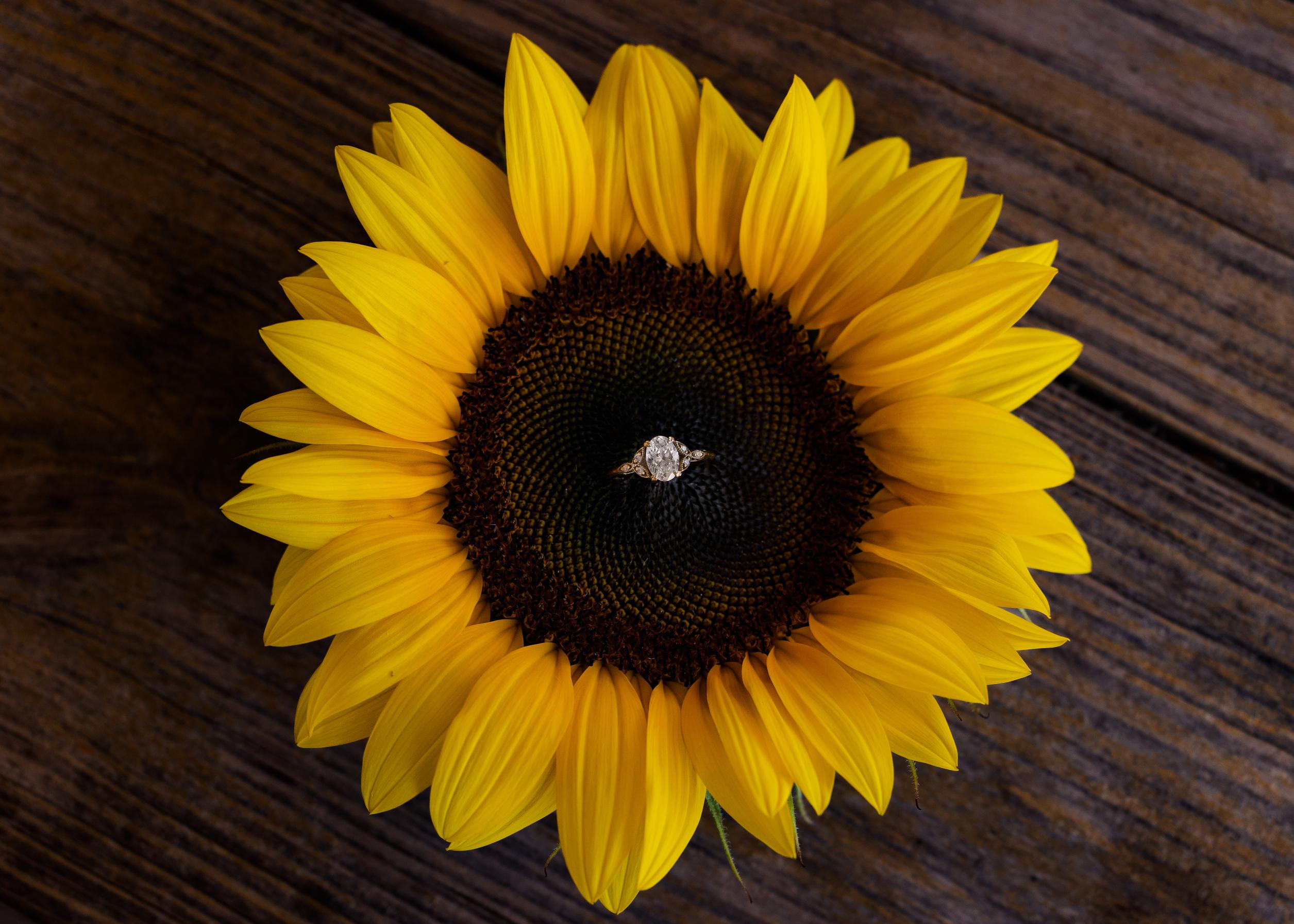 The Wedding Website of Anna Gourlay and Zachary Buckland
