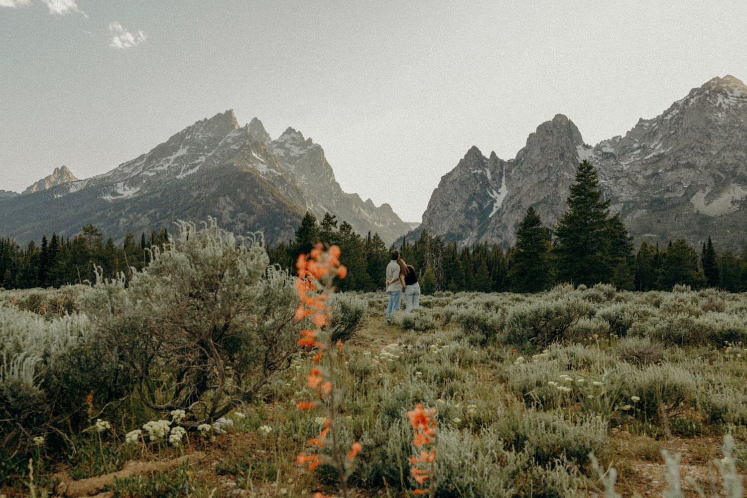 The Wedding Website of Adam Fitzmaurice and Sommer Fitzmaurice
