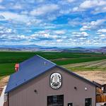 Wheat Head Brewing Co.