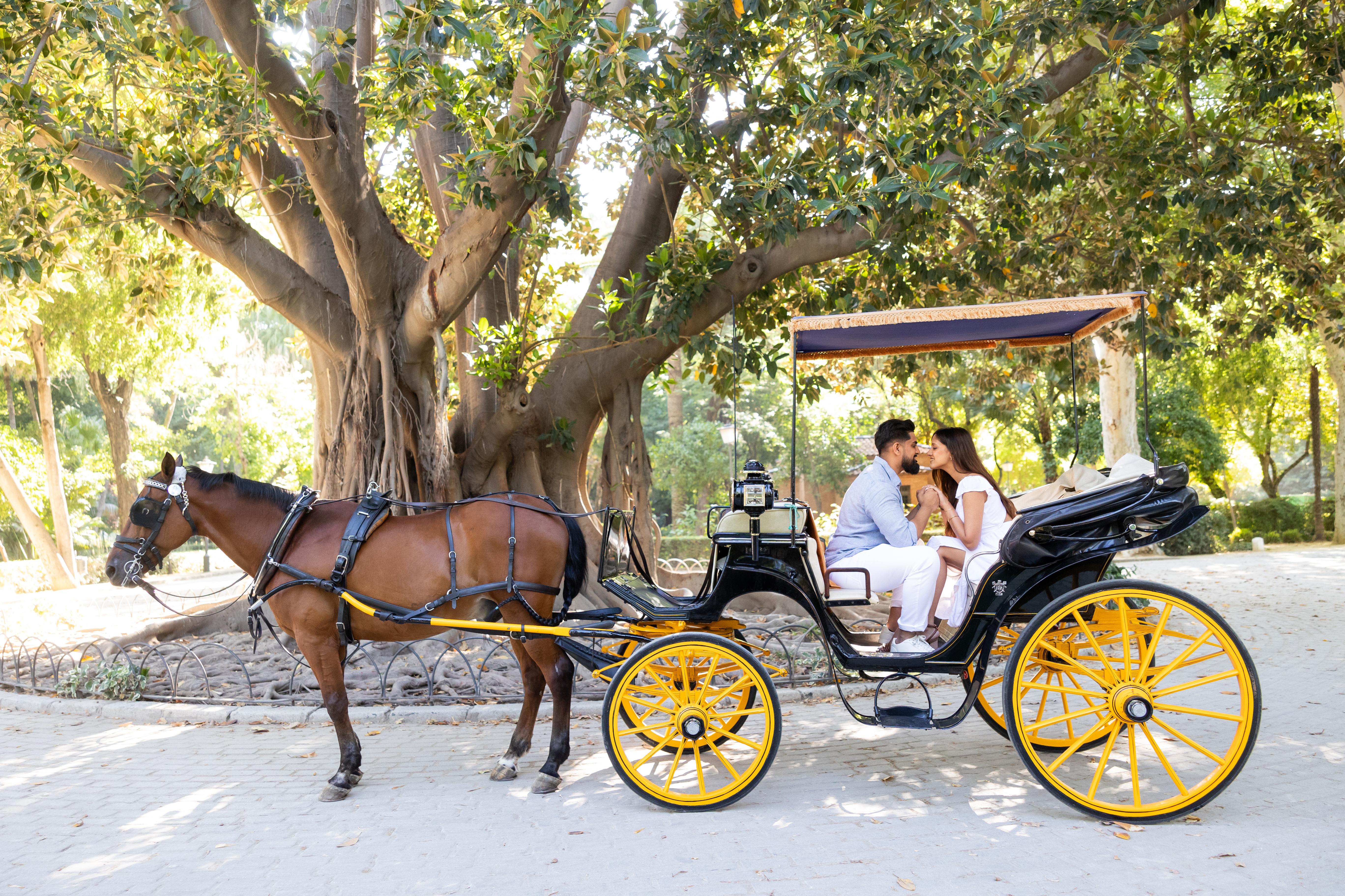 The Wedding Website of Jay Patel and Jeena Patel