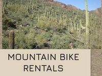 Biking Trails