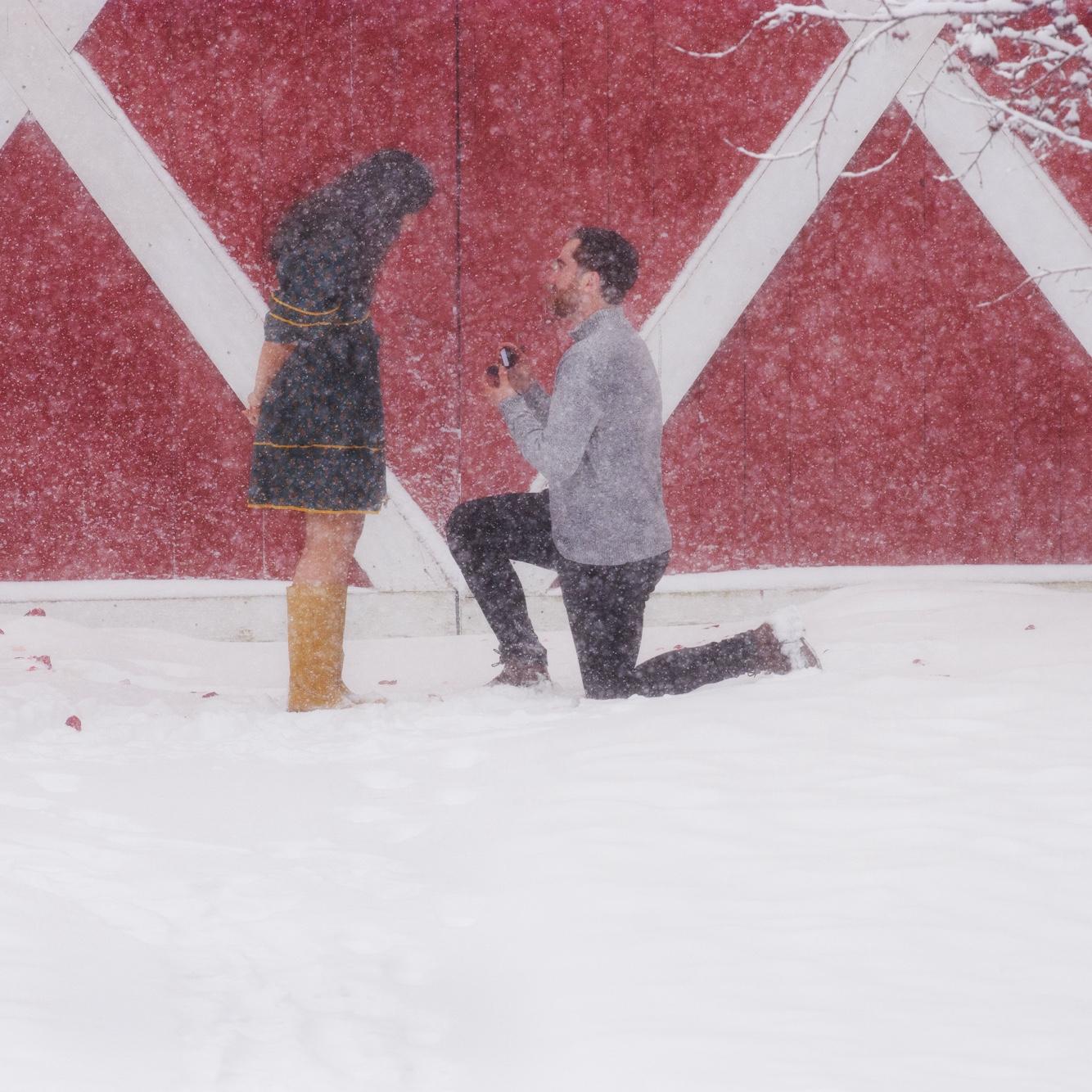 Engaged on December 28 in a blizzard at the farm Allaina worked at