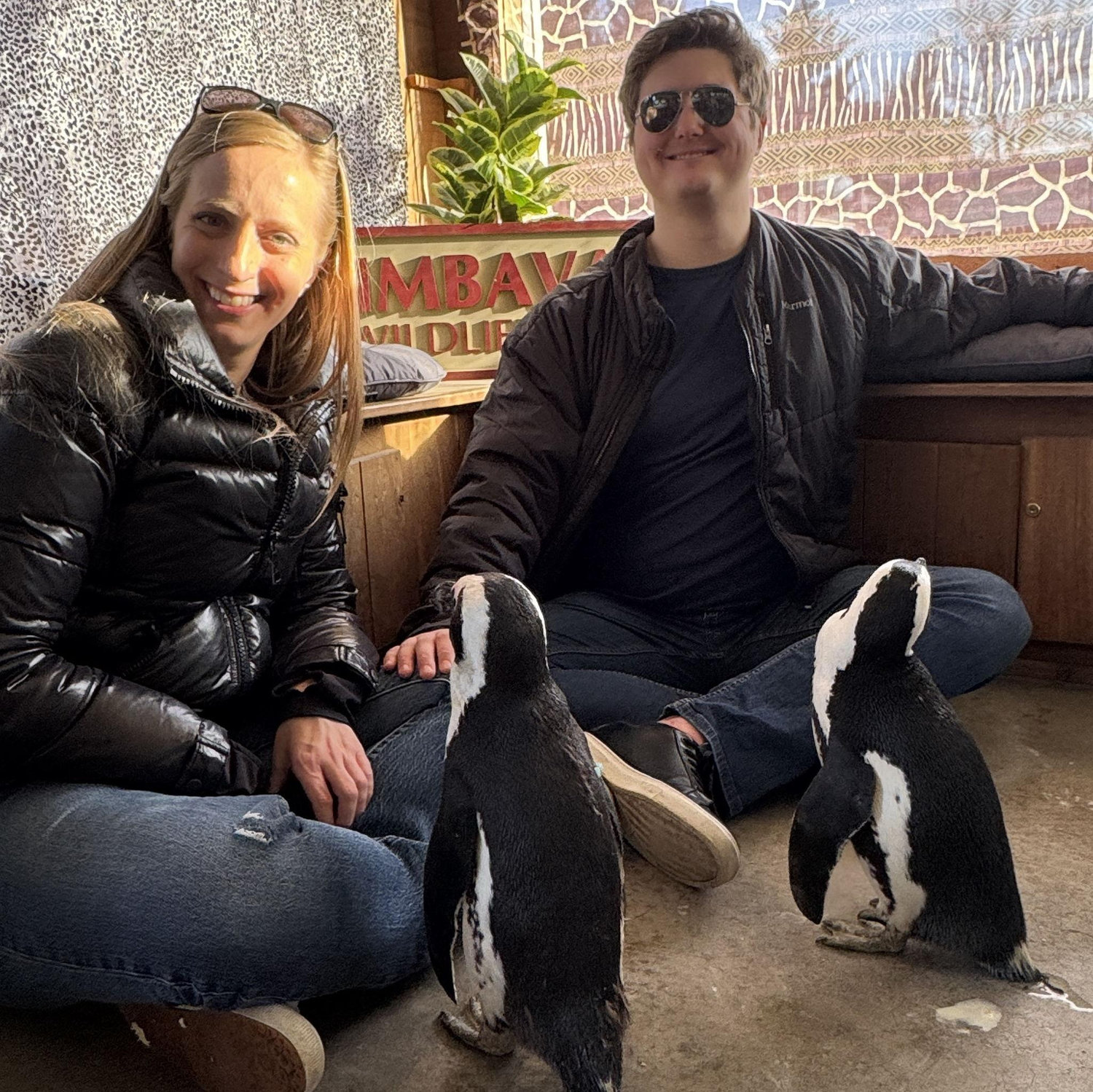 Penguin Experience - Timbavati Wildlife Center, Wisconsin (Valentine's Day 2026)