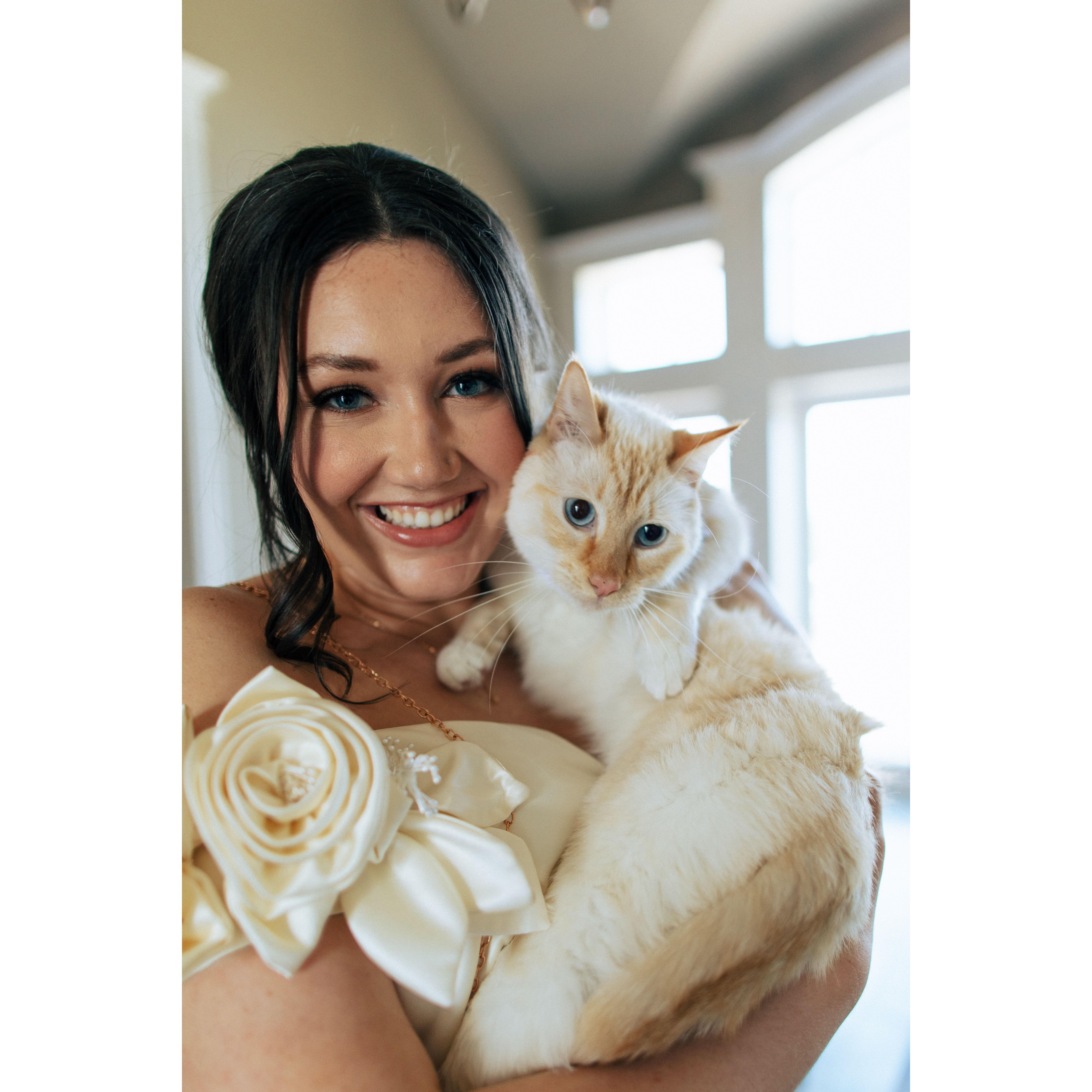 Our cat, Sushi!