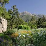 A First-Timer’s Guide to Santa Barbara