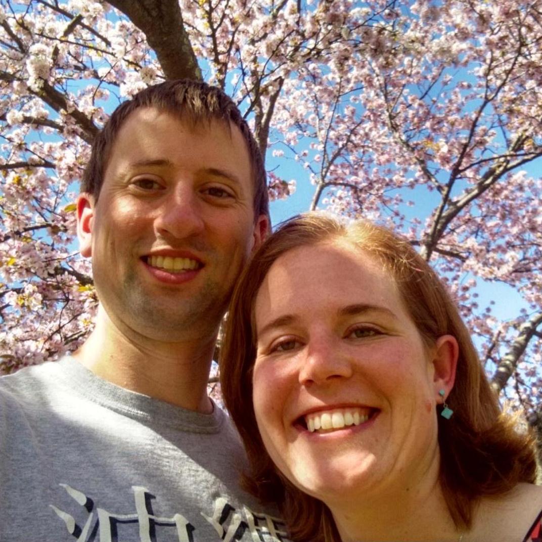 Cherry blossoms at the Arboretum