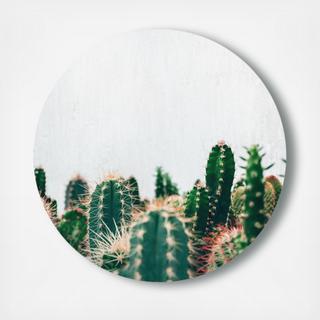 Cactus Family Circle Acrylic Art