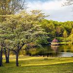 Meadowlark Botanical Gardens