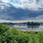 Iroquois National Wildlife Refuge