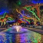 Houston Zoo Lights