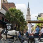 Horse Carriage Tour