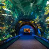 New York Aquarium