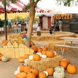 Peltzer Pumpkin Farm | CLOSED until Fall of 2026!