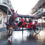 Things to Do In or Near the French Quarter!