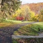 Happy Hollow Park