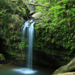 El Yunque
