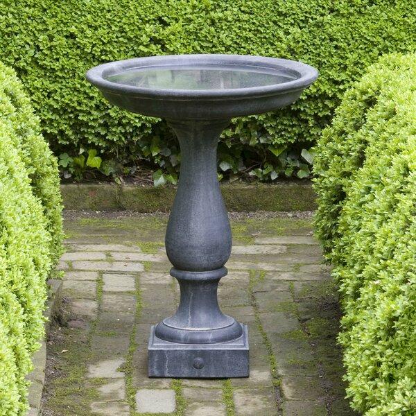 Bird Bath!