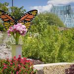 San Antonio Botanical Garden