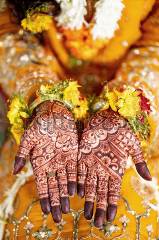 The Wedding Website of Jonathan Wachsmann and Hina Musa