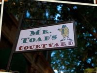 Mr. Toad's Pub