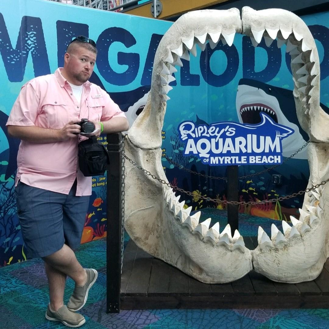 🦈🦈🦈