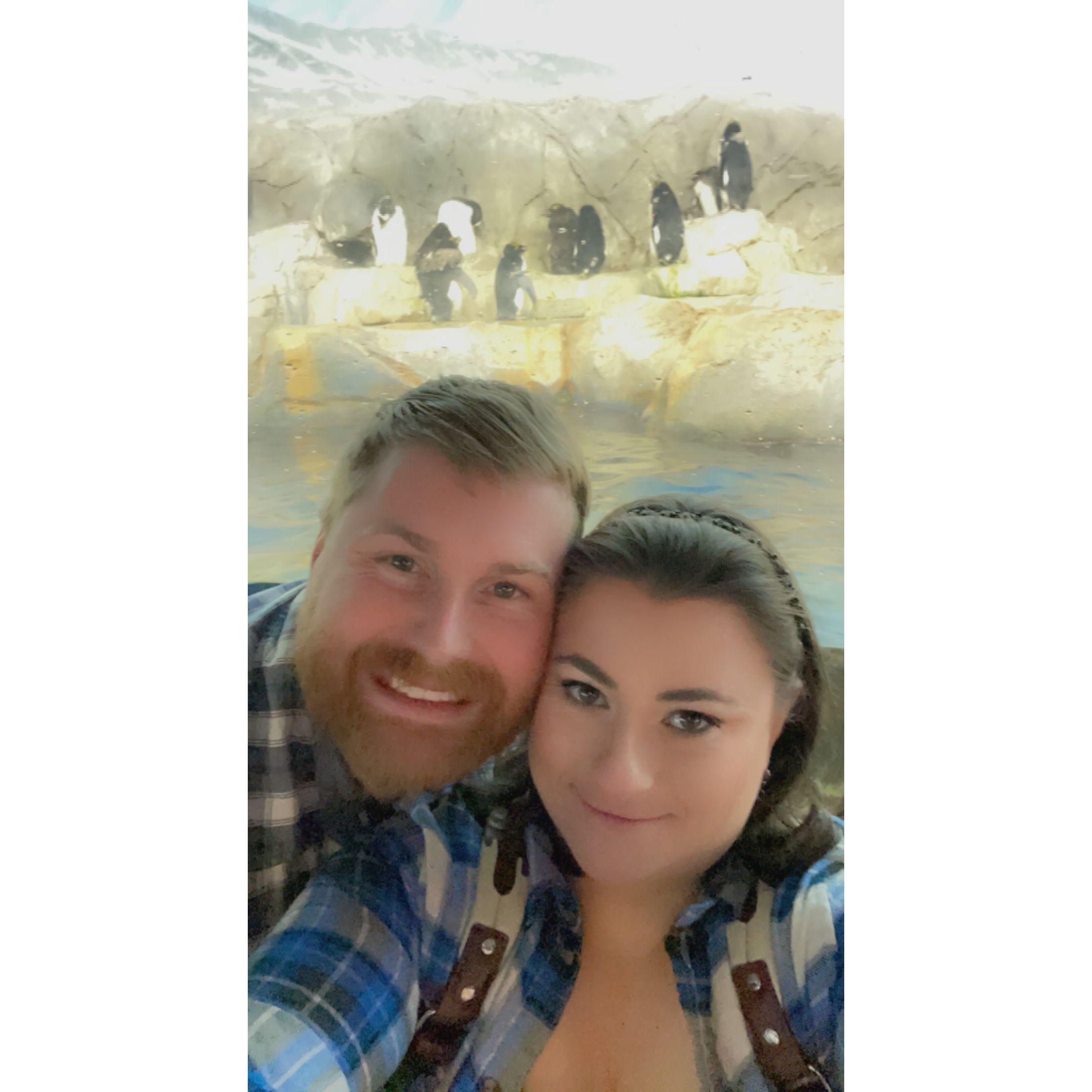 our first trip to the aquarium