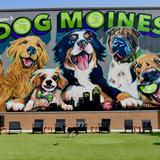 Paws & Pints