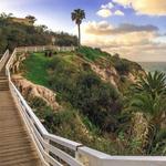 Coast Walk Trail