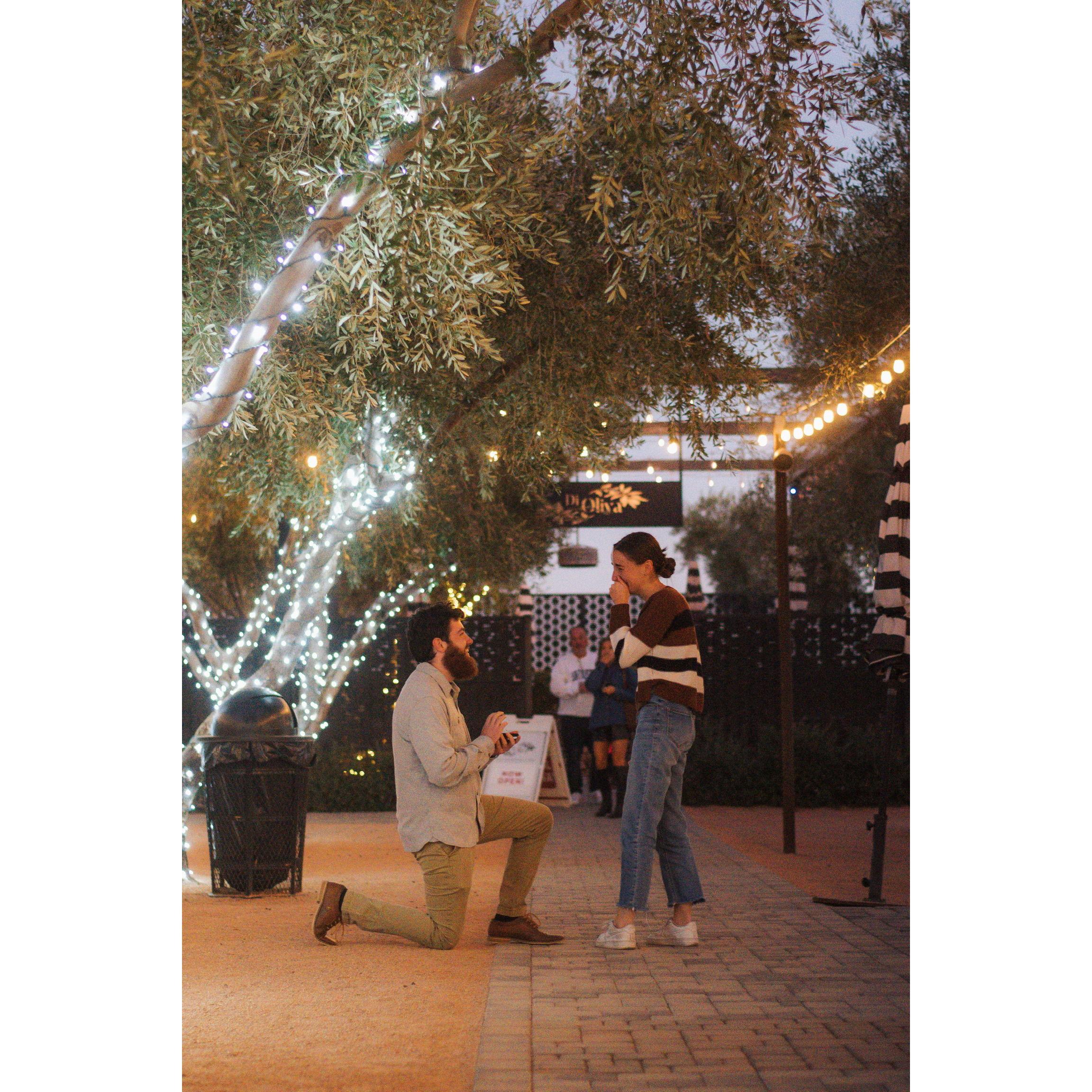 11/8/24. The proposal, Luke's 24th birthday, and the most joy filled day in the world!