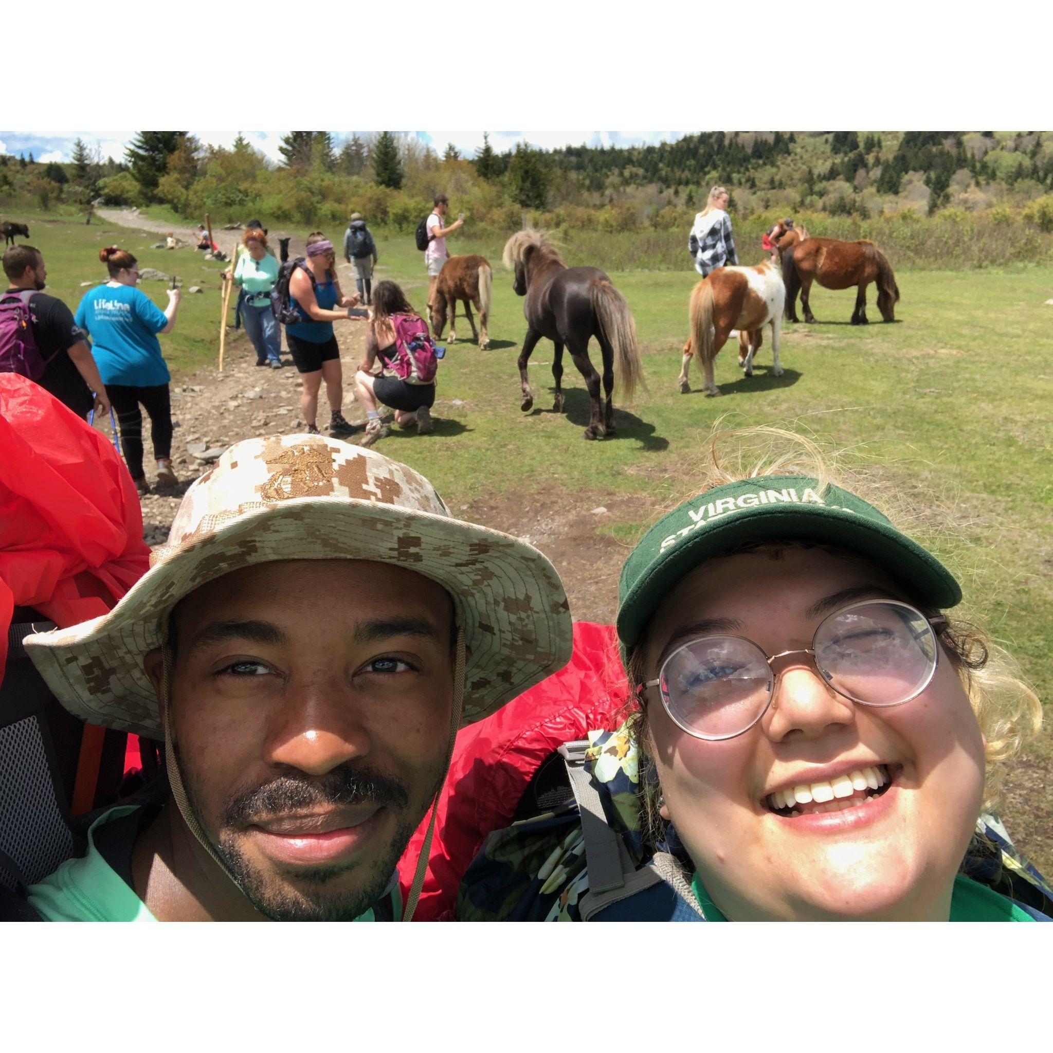 Greyson Highlands is known for it's wild ponies