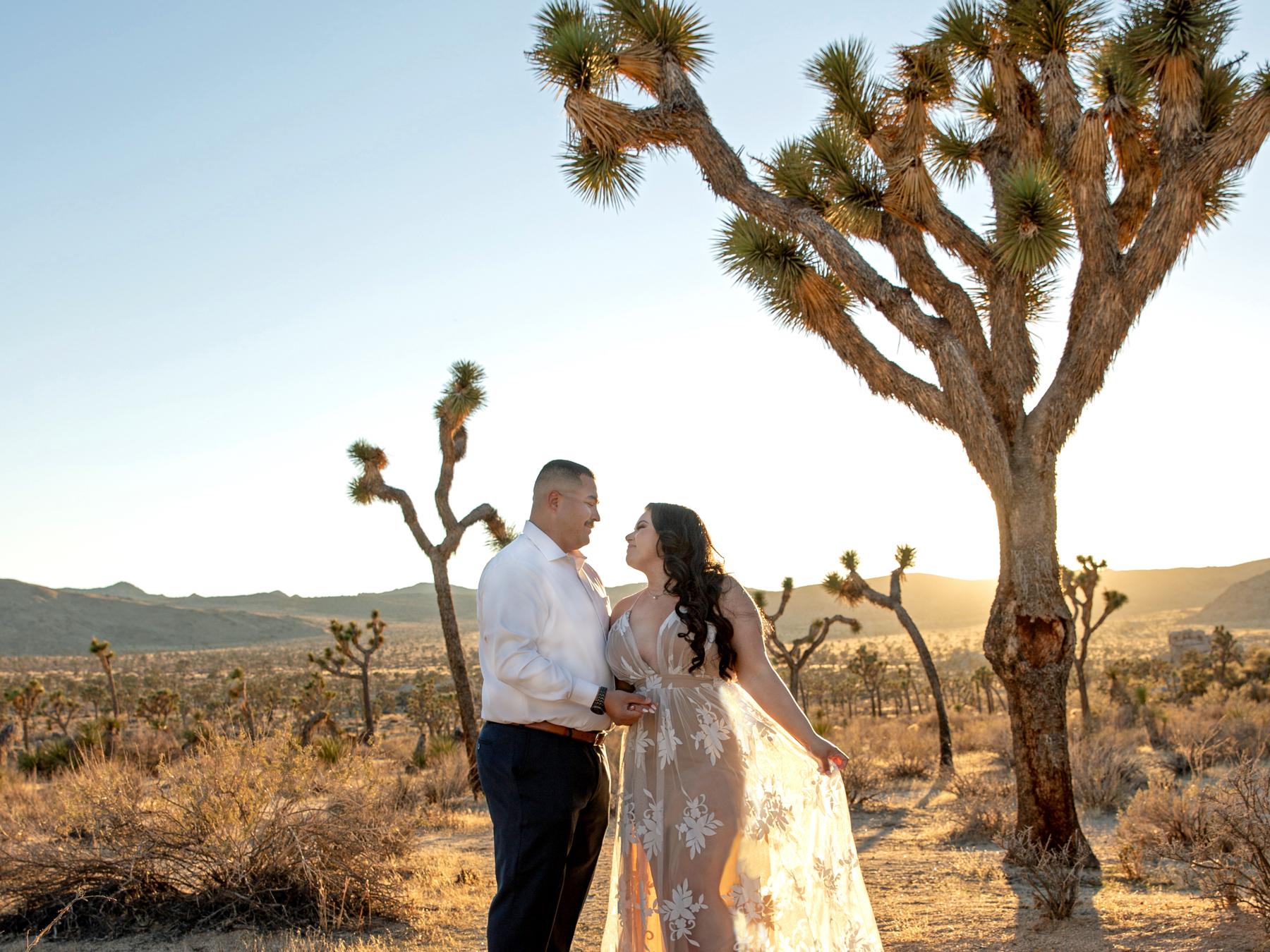 The Wedding Website of Angelica Garcia and David Valadez