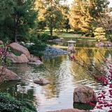 The Japanese Friendship Garden of Phoenix